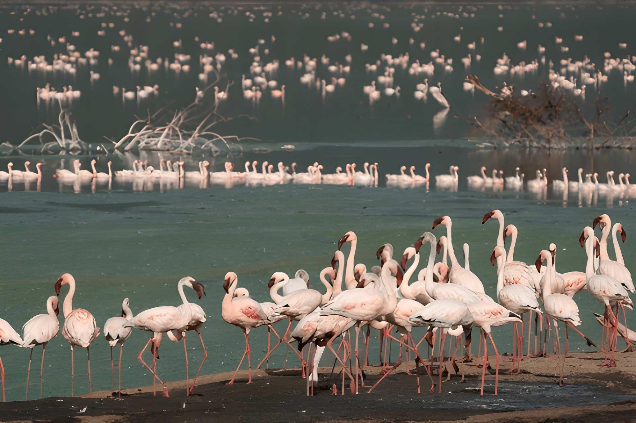 12-Day Northern Kenya Immersion | Full Turkana & Cultural Safari