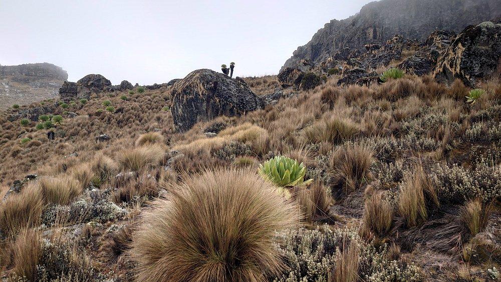 Rough North Kenya, Luxury Tours  5-Day Mt Kenya Climb – Chogoria Route | Rough North Kenya