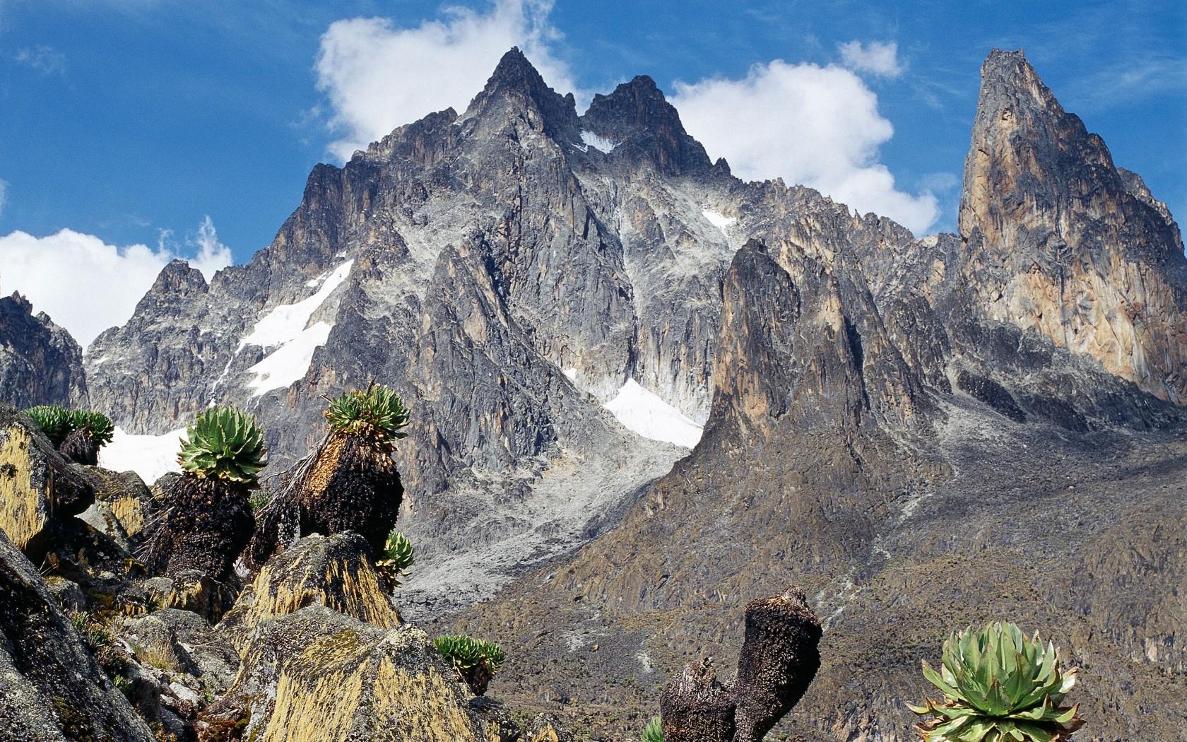 Rough North Kenya, Luxury Tours  6-Day Mt Kenya Climb – Timau Route Traverse | Rough North Kenya