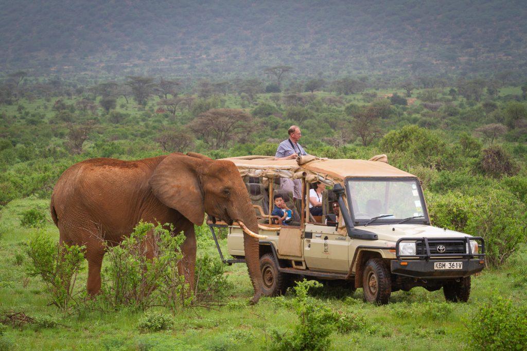 7-Day Northern Kenya Explorer | Lake Turkana & Samburu Safari